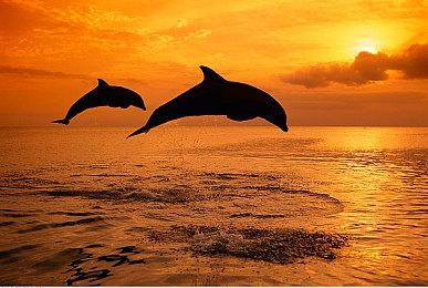 中世纪背景生存建造游戏《黑暗巢土》现已开启测试