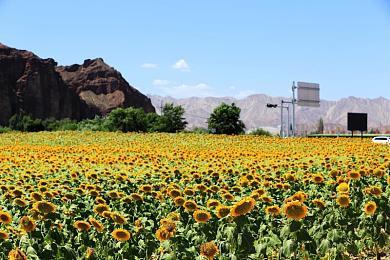 DLC全免费！ 传奇ADV《被虐的诺艾尔》Steam更新升级为完整版