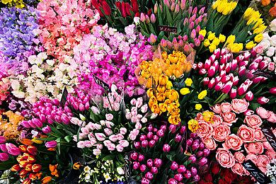 3人开《热血传奇》私服牟利1500余万 赔150万获谅解